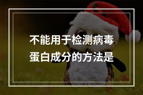 不能用于检测病毒蛋白成分的方法是