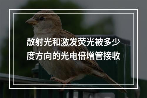 散射光和激发荧光被多少度方向的光电倍增管接收