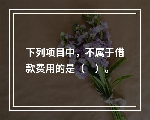 下列项目中，不属于借款费用的是（　）。