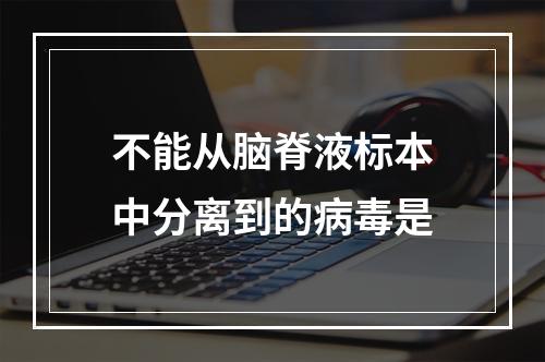 不能从脑脊液标本中分离到的病毒是