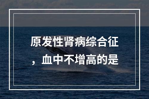 原发性肾病综合征，血中不增高的是