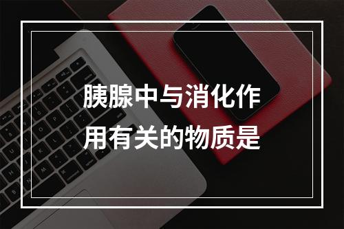 胰腺中与消化作用有关的物质是