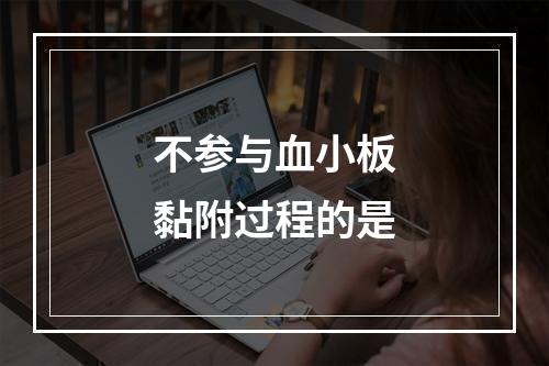 不参与血小板黏附过程的是