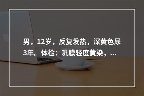 男，12岁，反复发热，深黄色尿3年。体检：巩膜轻度黄染，脾肋