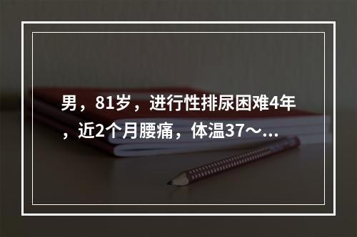 男，81岁，进行性排尿困难4年，近2个月腰痛，体温37～38