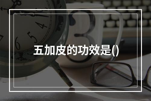 五加皮的功效是()