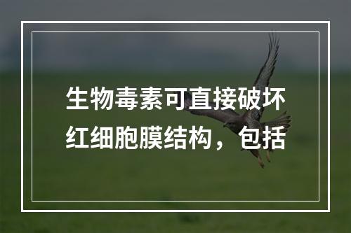 生物毒素可直接破坏红细胞膜结构，包括