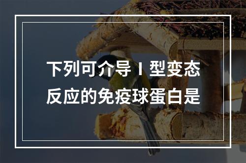 下列可介导Ⅰ型变态反应的免疫球蛋白是