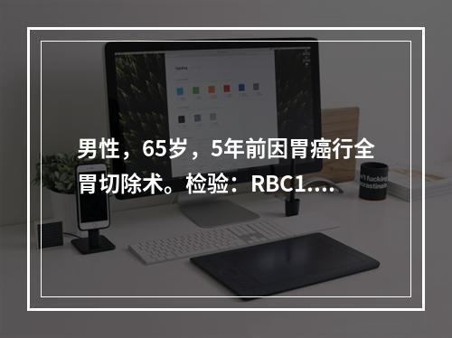 男性，65岁，5年前因胃癌行全胃切除术。检验：RBC1.2×