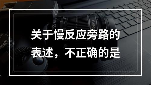 关于慢反应旁路的表述，不正确的是