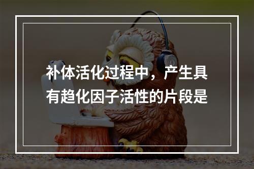 补体活化过程中，产生具有趋化因子活性的片段是