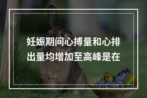 妊娠期间心搏量和心排出量均增加至高峰是在