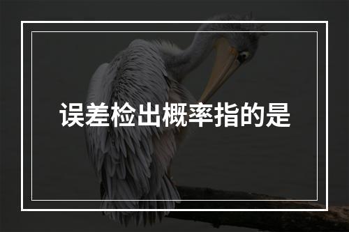 误差检出概率指的是