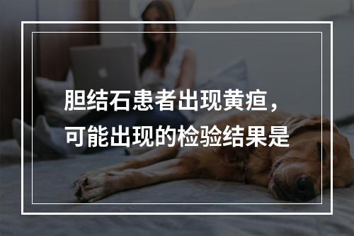 胆结石患者出现黄疸，可能出现的检验结果是