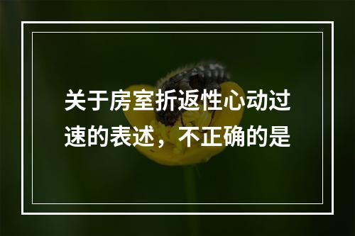 关于房室折返性心动过速的表述，不正确的是