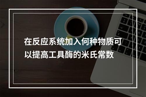 在反应系统加入何种物质可以提高工具酶的米氏常数