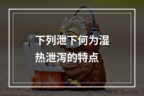 下列泄下何为湿热泄泻的特点