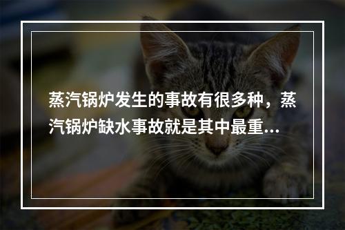 蒸汽锅炉发生的事故有很多种，蒸汽锅炉缺水事故就是其中最重要的