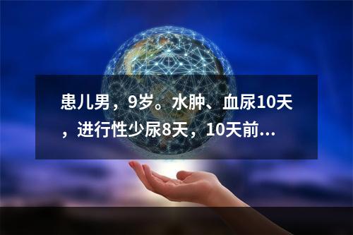 患儿男，9岁。水肿、血尿10天，进行性少尿8天，10天前晨起