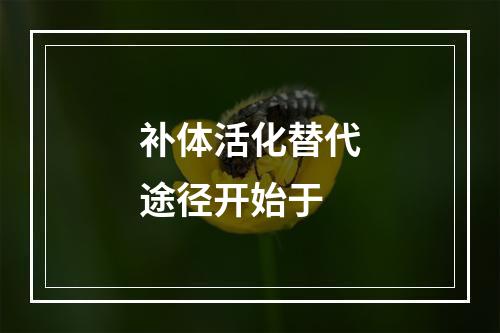 补体活化替代途径开始于