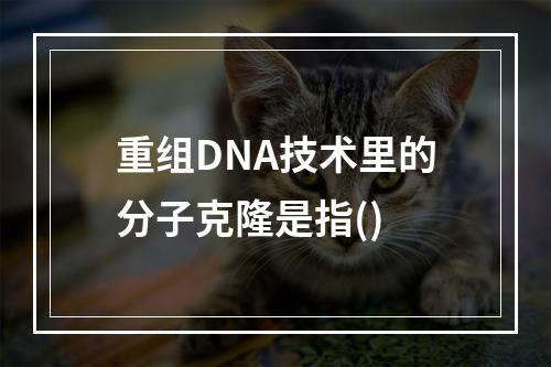 重组DNA技术里的分子克隆是指()