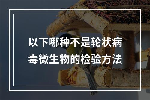 以下哪种不是轮状病毒微生物的检验方法