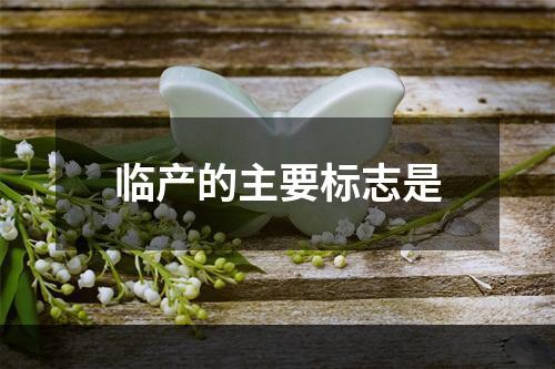 临产的主要标志是