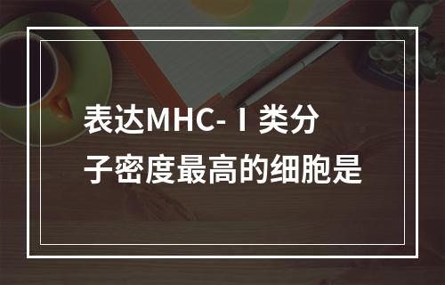 表达MHC-Ⅰ类分子密度最高的细胞是