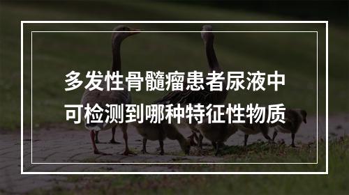 多发性骨髓瘤患者尿液中可检测到哪种特征性物质