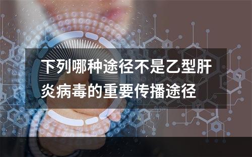 下列哪种途径不是乙型肝炎病毒的重要传播途径