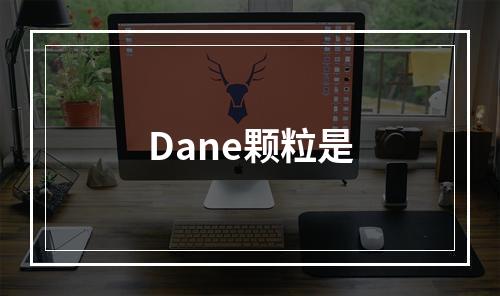 Dane颗粒是