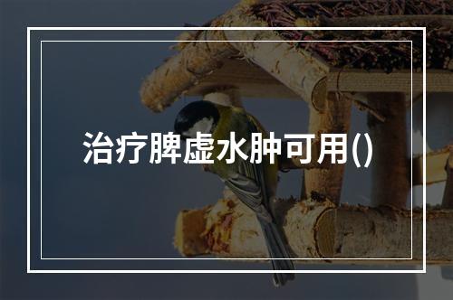 治疗脾虚水肿可用()