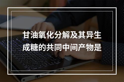 甘油氧化分解及其异生成糖的共同中间产物是