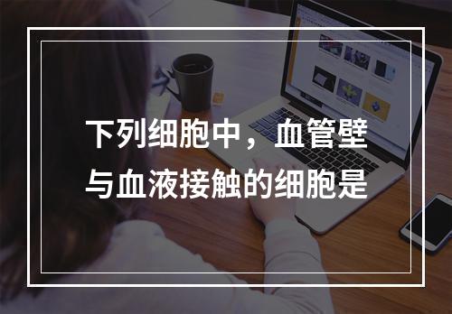 下列细胞中，血管壁与血液接触的细胞是