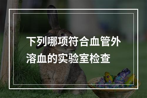 下列哪项符合血管外溶血的实验室检查