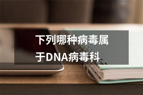 下列哪种病毒属于DNA病毒科