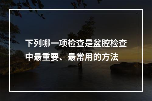 下列哪一项检查是盆腔检查中最重要、最常用的方法