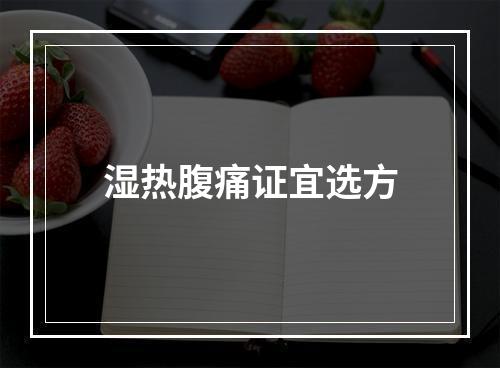 湿热腹痛证宜选方