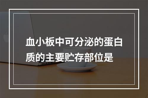 血小板中可分泌的蛋白质的主要贮存部位是