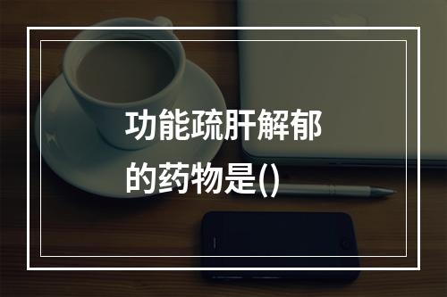 功能疏肝解郁的药物是()