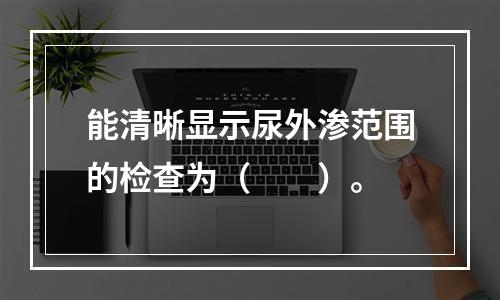 能清晰显示尿外渗范围的检查为（　　）。