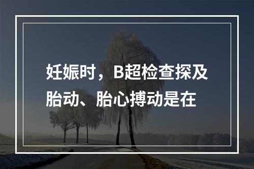 妊娠时，B超检查探及胎动、胎心搏动是在