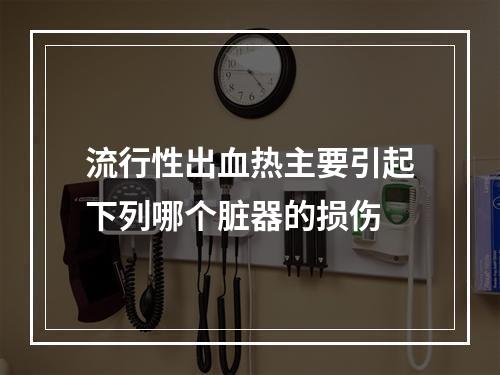 流行性出血热主要引起下列哪个脏器的损伤