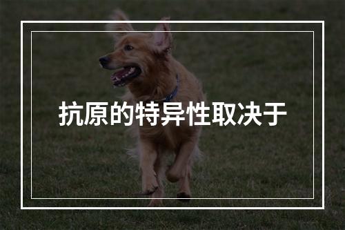 抗原的特异性取决于