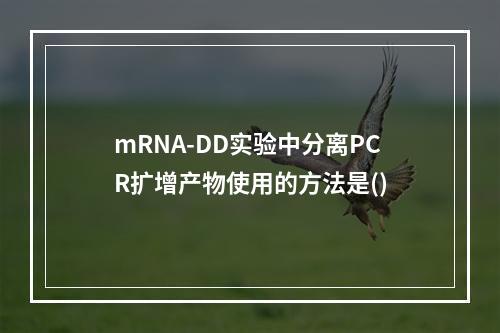 mRNA-DD实验中分离PCR扩增产物使用的方法是()