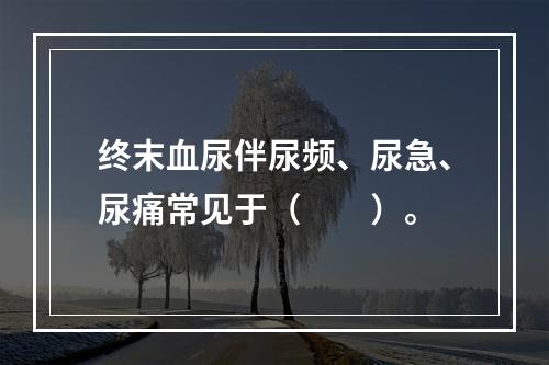 终末血尿伴尿频、尿急、尿痛常见于（　　）。