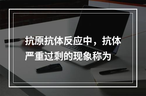 抗原抗体反应中，抗体严重过剩的现象称为