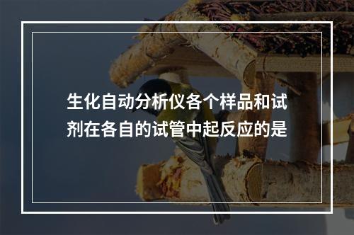 生化自动分析仪各个样品和试剂在各自的试管中起反应的是