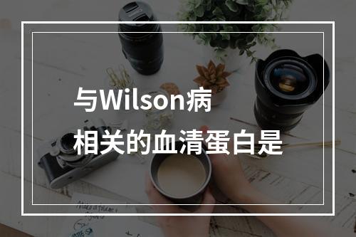 与Wilson病相关的血清蛋白是