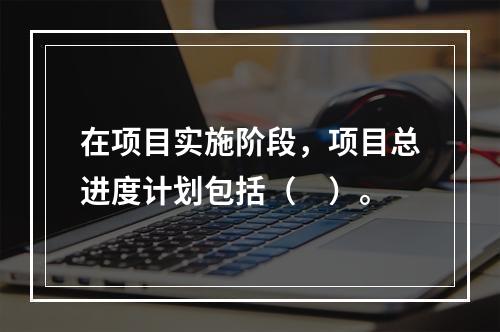 在项目实施阶段，项目总进度计划包括（　）。